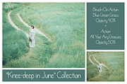 Summer Collection - PS Bundle, an Action Add-On by LovePhotoMoment (Thumbnail 7 of 23)