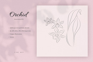 Orchid #13. Line Art Illustration, a Decorative Illustration by lapi-olesya