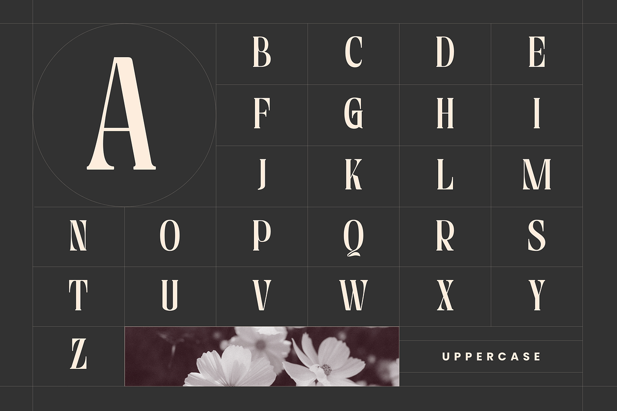 Astella Luxury - Branding Logo Font, a Serif Font by Nirmana Visual (Photo 12 of 16)