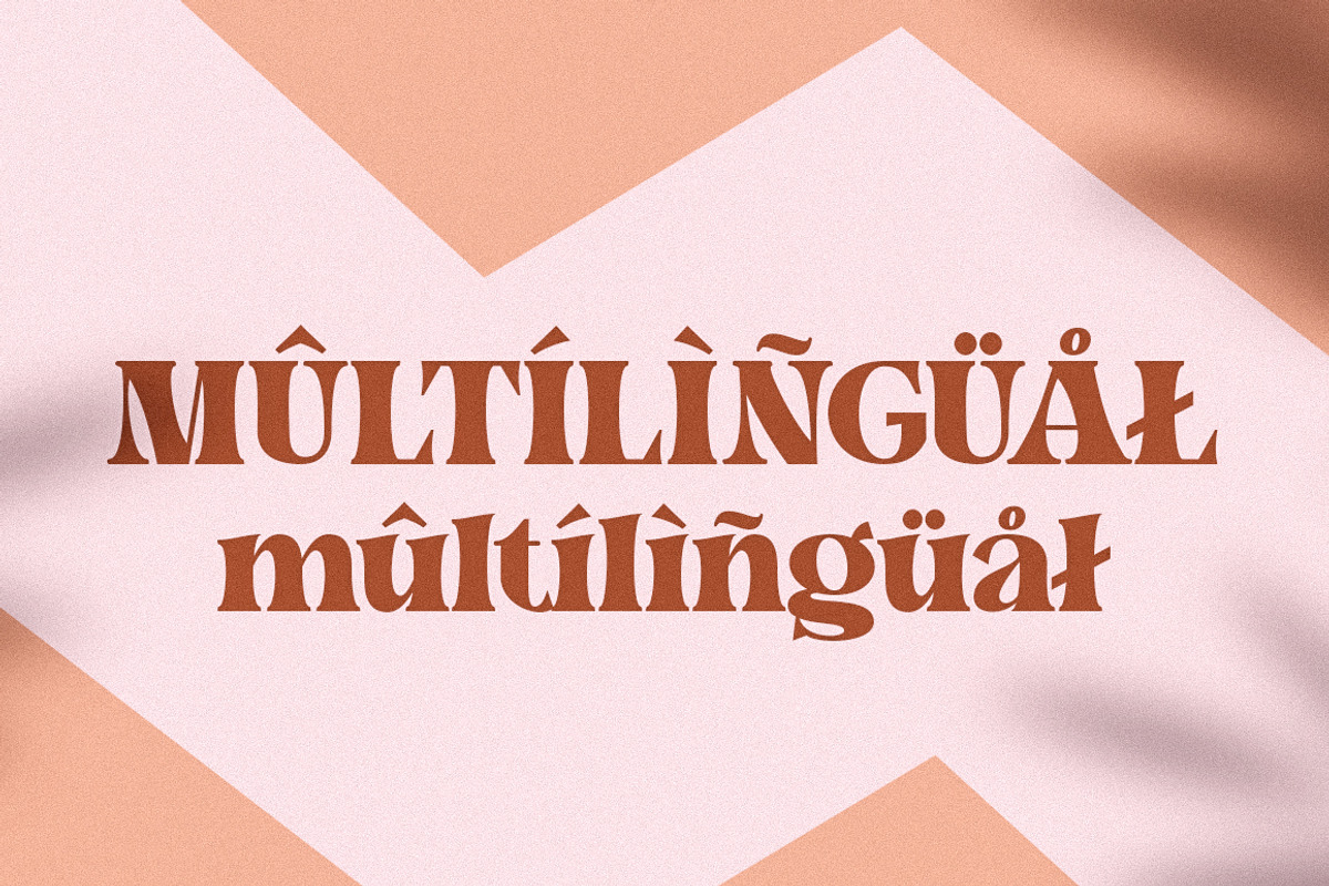 Fieasto, a Serif Font by Dora Typefoundry (Photo 17 of 18)