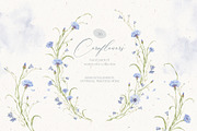Watercolor Cornflowers, an Illustration by Nastya.Chay (Thumbnail 1 of 10)