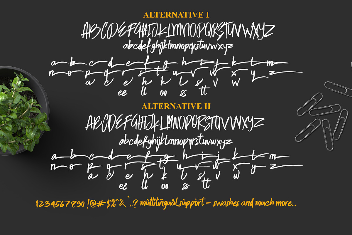 Skytree Script Brush Font preview 8