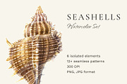 Seashells watercolor illustrations, an Illustration by JulShuman (Thumbnail 1 of 8)