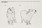 Sketches of capybara animals in PNG, an Animal Illustration by LOKSKIH (Thumbnail 3 of 4)