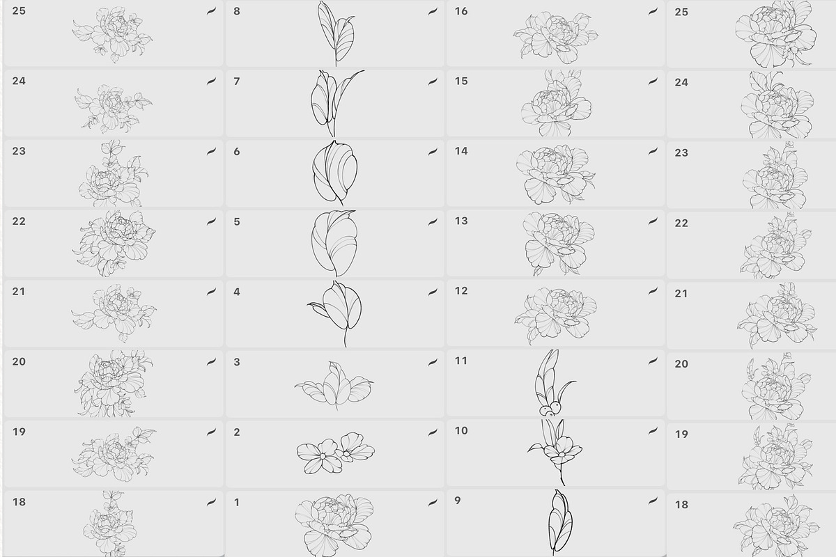 Procreate flower stamp, a Brush Add-On by AnnaPolitmerskaja (Photo 5 of 6)