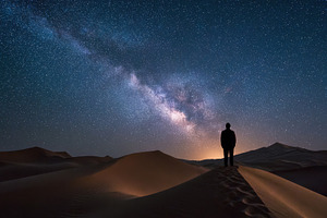 Stars shine over desert landscape