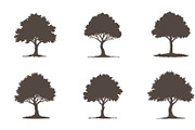 Pine Tree Silhouette Set Trees icon, a Solid Icon by RAHMAT (Thumbnail 1 of 3)
