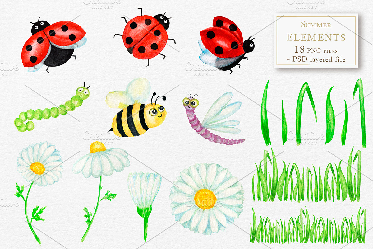 Summer Ladybug & Chamomile clipart, an Object Graphic by svetlanaARTdreams (Photo 2 of 8)