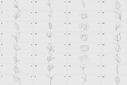 Procreate flower stamp, peony brush, a Brush Add-On by AnnaPolitmerskaja (Thumbnail 5 of 5)