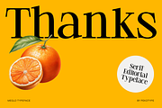 Meglo - Elegant Modern Serif Font, a Serif Font by Pekotype (Thumbnail 15 of 15)