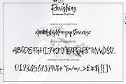 Ravishing Brush Font, a Script Font by Design Dukkan (Thumbnail 12 of 12)