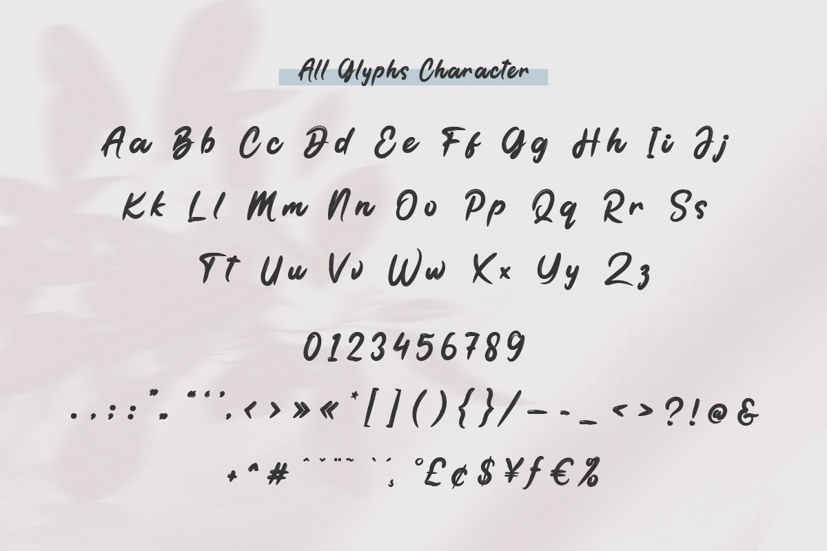 the Brodolly - Brush Handwritten Fon, a Handwritten Font by productype1 (Photo 6 of 8)