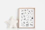 Animal ABC. Alphabet cards, an Animal Illustration by Natali Smolova (Thumbnail 2 of 11)