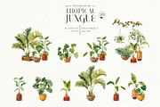 Tropical jungle - watercolor set, a Decorative Illustration by Pamyatka Shop (Thumbnail 6 of 27)