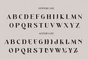DE GYUBEE, a Serif Font by Muflieart (Thumbnail 5 of 6)