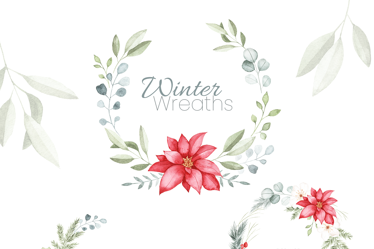 Winter Botanical Watercolor Set, a Decorative Illustration by Liliia Polos Illustration (Photo 5 of 10)