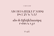 Megain Ligature Serif Typeface, a Serif Font by Humaira_std (Thumbnail 11 of 14)