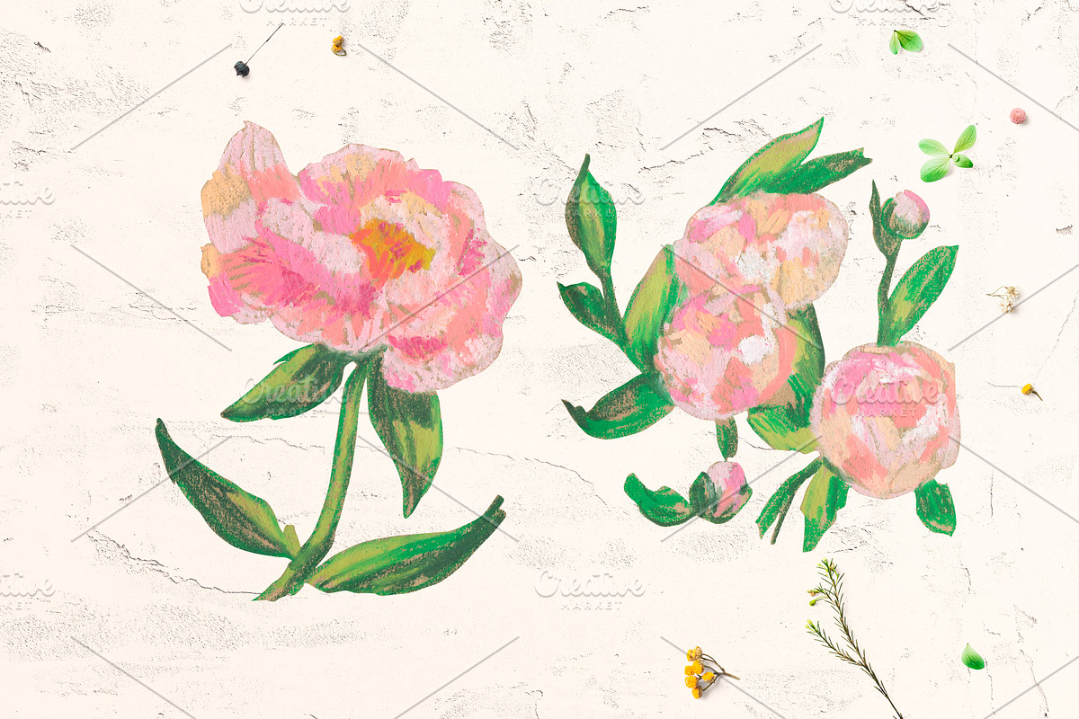 Peonies Clipart, an Illustration by Lucyinyourheart (Photo 3 of 5)