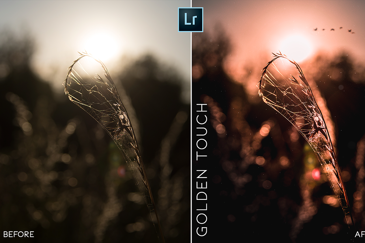 MOBILE + PC Lightroom Presets, a Plug-in Add-On by @guillepixl (Photo 6 of 16)