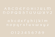 Tarin Sans, a Serif Font by Creative Foundry (Thumbnail 6 of 8)