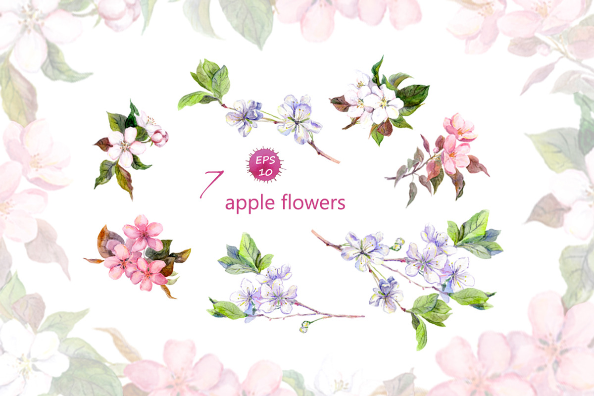 Apple flowers set. Watercolor vector, an Illustration by Where summer is (Photo 3 of 5)