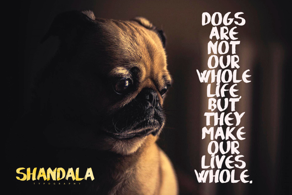 Shandala Brush Typeface preview 3