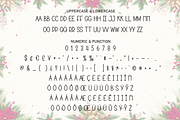 Flower Christmas | Script Font, a Script Font by Scratchones (Thumbnail 7 of 8)