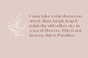 Paradiso Stencil font, a Serif Font by ParadiseStore (Thumbnail 5 of 7)