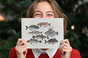 Kumataro Ito Japanese Aquatic Art, an Animal Illustration by Digital Museum (Thumbnail 11 of 13)