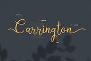 Bryan Letter, a Script Font by Pollux of Geminorum (Thumbnail 8 of 12)