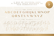 The Amoret Font Duo + 12 Logos, a Sans Serif Font by Sam Parrett (Thumbnail 11 of 12)