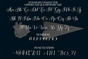 Beauty Signature, a Handwritten Font by FreshTypeINK (Thumbnail 2 of 8)