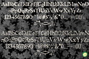 Elderflower Serif Font, a Serif Font by CozyPersimmon (Thumbnail 4 of 8)