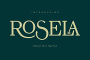 Rosela Elegant Serif Typeface, a Serif Font by Font Kingdom (Thumbnail 1 of 10)