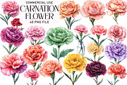 Watercolor Carnation Flower Clipart, an Illustration by Daily.Designs (Thumbnail 1 of 3)
