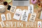 Decorative font - Spring, a Blackletter Font by zao4nik (Thumbnail 10 of 10)