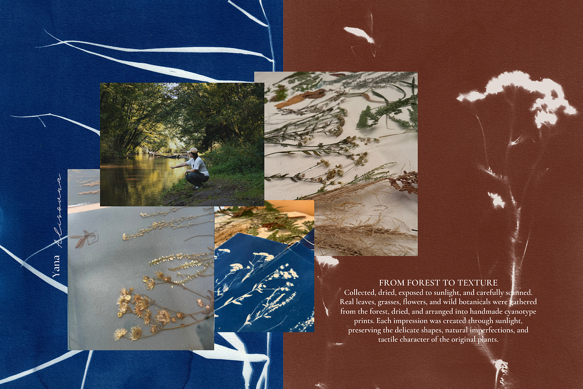 CYANOTYPE Botanical Backgrounds, a Background Graphic by Alisovna (Photo 14 of 15)
