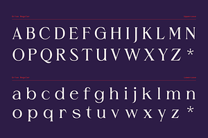 Grise - Variable Serif 18 Fonts