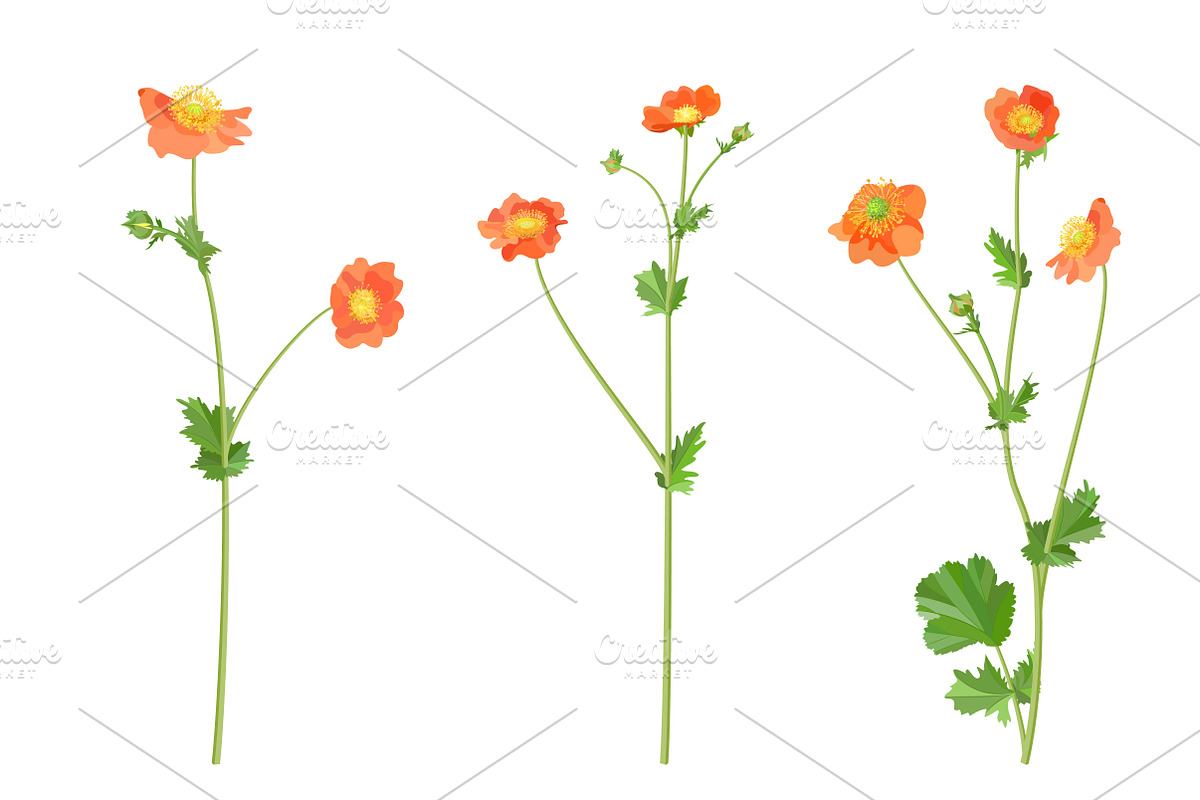 Vector object brushes. Geum., a Brush Add-On by Peolla (Photo 9 of 14)