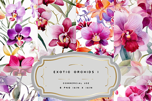 Exotic Orchids Seamless Bundle 1