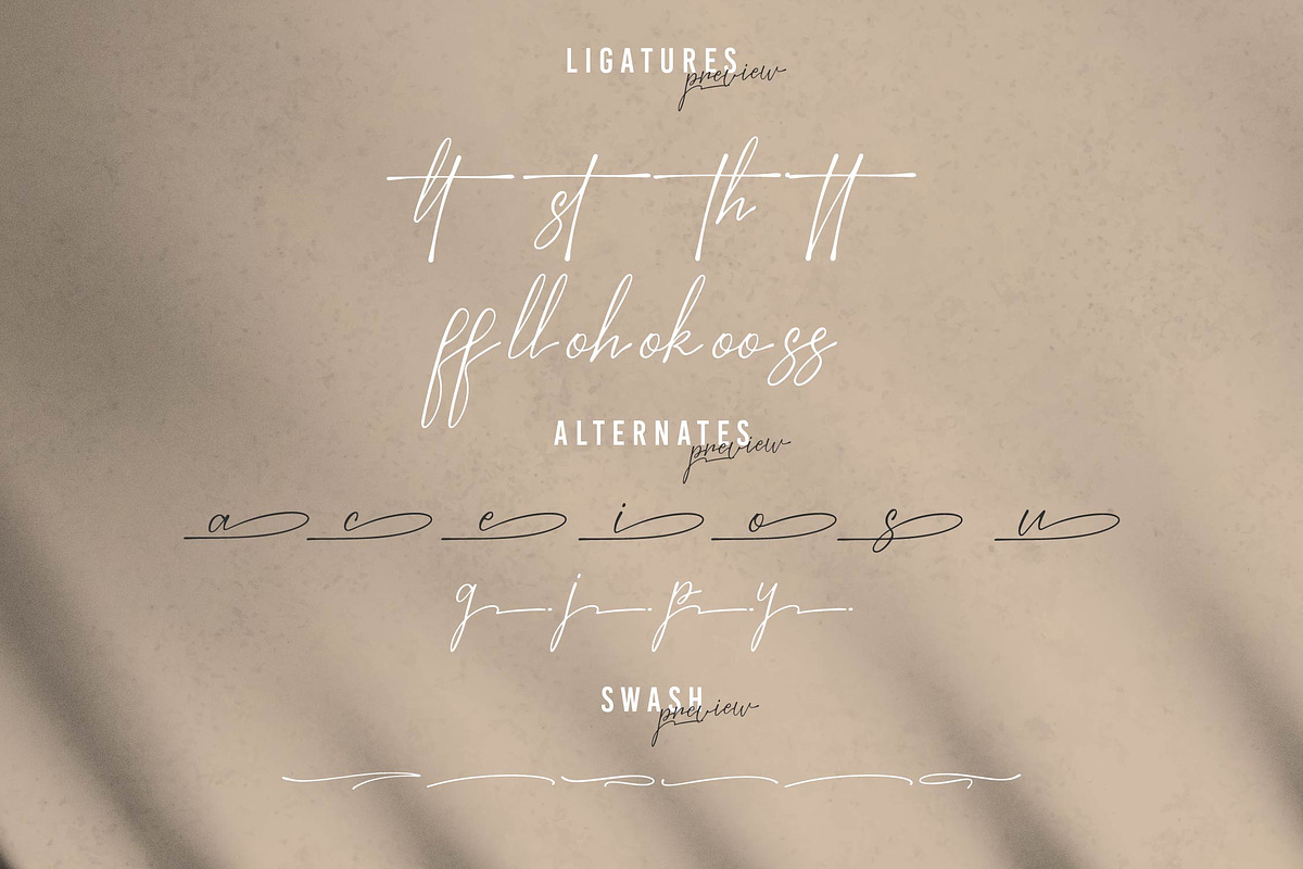 Bestia | Signature Font, a Script Font by Denustudios (Photo 12 of 14)