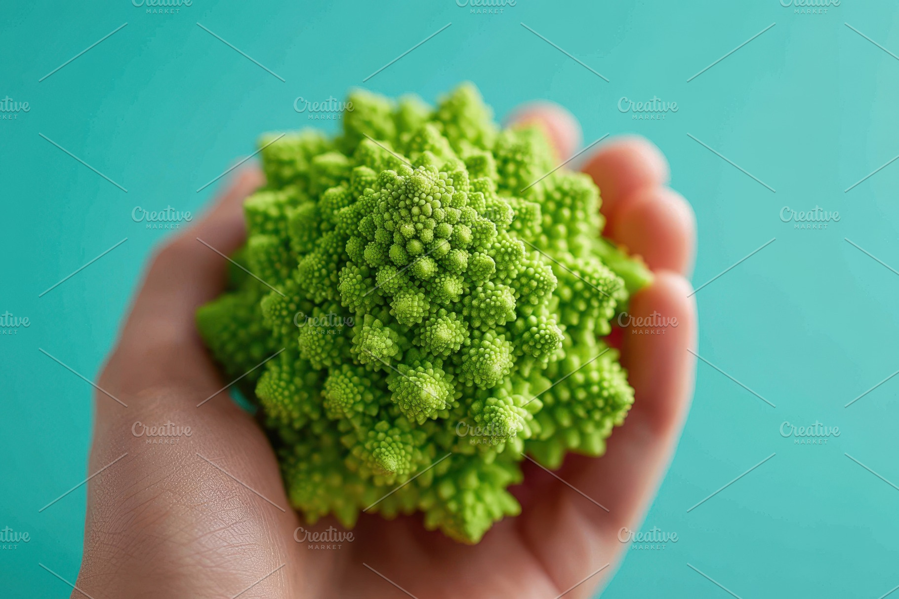 Hand holding romanesco broccoli, a Food & Drink Photo by AlyaAnd