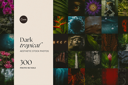 Dark Tropical Stock Photo Bundle, a Nature Photo by The Flossy Finch