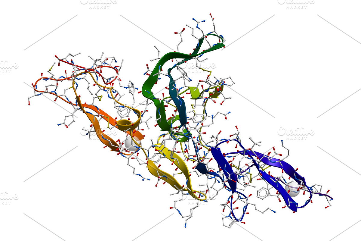 Fibrillin glycoprotein molecule, a Technology Illustration by Leonid Andronov