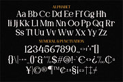 Moela - Serif Display Typeface, a Serif Font by MaikoHatta (Thumbnail 5 of 7)