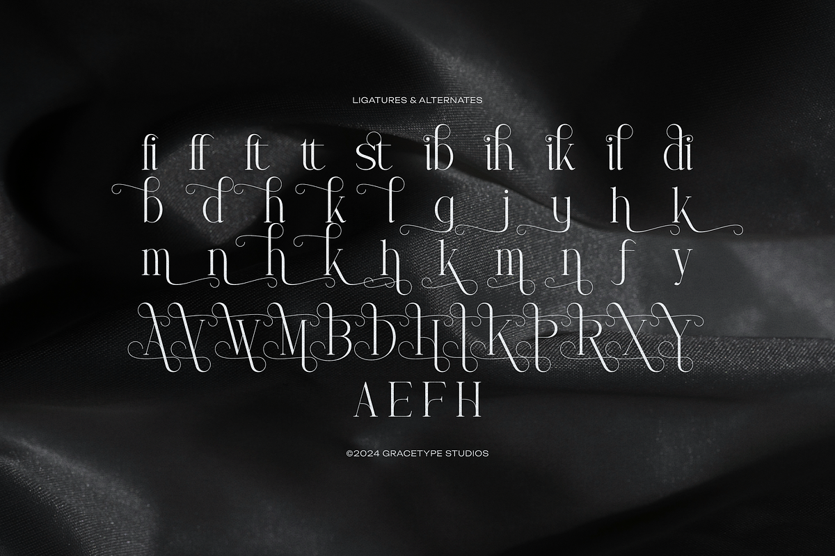 Trailogen | Display Serif Font, a Serif Font by gracetype_studio (Photo 11 of 12)