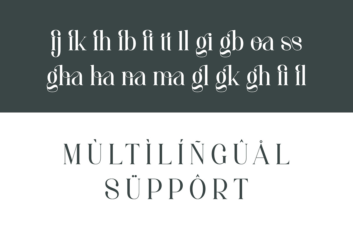 Megha - Elegant Serif Font, a Serif Font by Aqeel_Art (Photo 11 of 12)