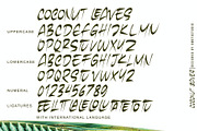Coconut Leaves, a Handwritten Font by Omotu Studio (Thumbnail 10 of 10)