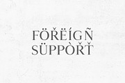 Wacian Serif Font Family, a Serif Font by Creativetacos (Thumbnail 8 of 9)