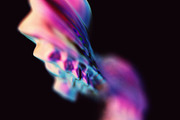 Fusion: Vibrant Abstraction, an Object Graphic by RuleByArt (Thumbnail 2 of 14)